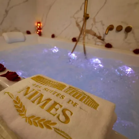 Appartement La Romaine De Nîmes, Balnéo, Hammam, Clim *